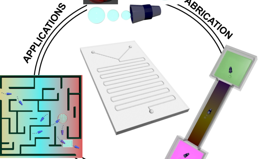 Microfluidics for Microswimmers, a tutorial review published in Small