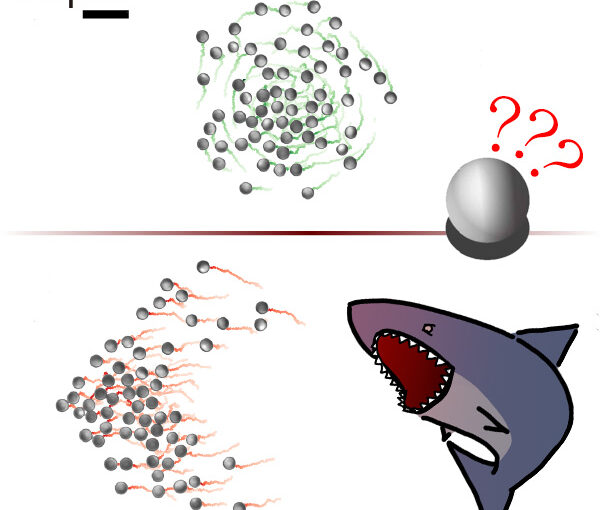 Collective response of microrobotic swarms to external threats published in New Journal of Physics